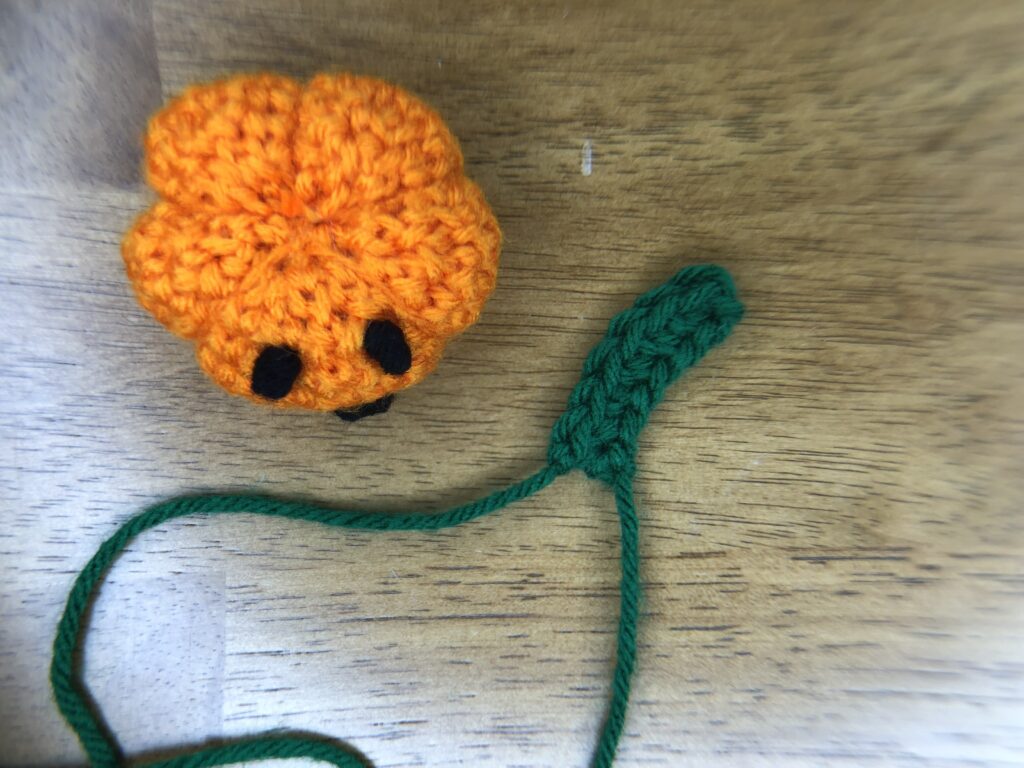 green stem for a baby pumpkin