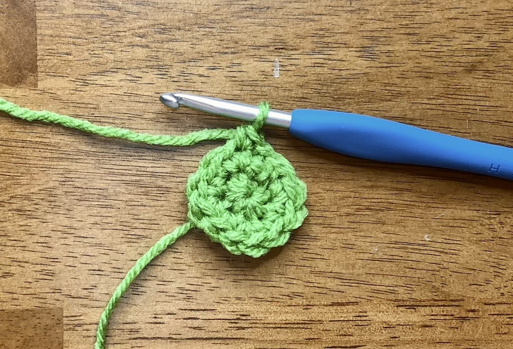 small green crocheted circle with single crochet stitch starting the 3rd round