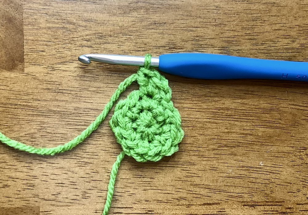 small green crocheted circle starting the 3rd round